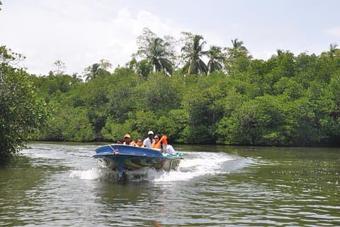 Bentota City Tour from Ahangama