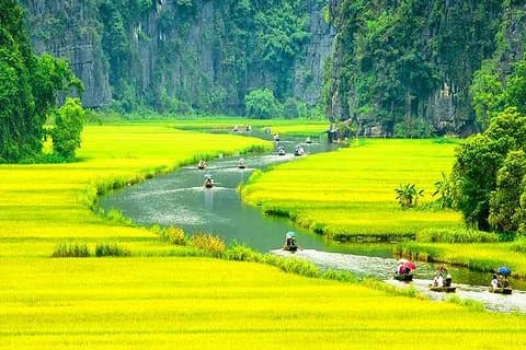 Hanói - Hoa Lu - Tam Coc - Gruta Mua - 1 Dia de Tour. Por limusine de luxo de Hanói