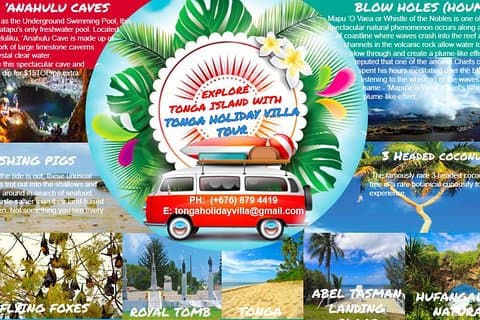 Tonga Holiday V Island Tours - faste priser BEDSTE VÆRDI