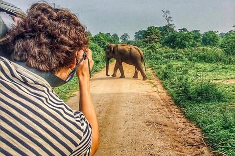 Sri Lanka rejseplan. 6N/7D med chauffør, køretøj og H/B indkvartering