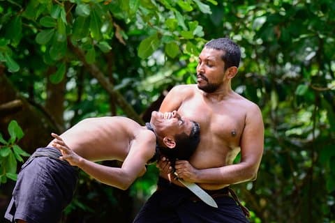 Angampora Martial Arts Show aus Colombo