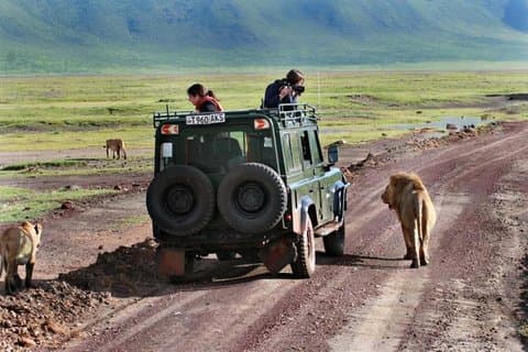 Safari privado de 2 días en el lago Manyara y el Parque Nacional Ngorongoro Crater
