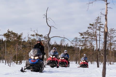2 - timme Snöskotersafari i vildmarken, Rovaniemi