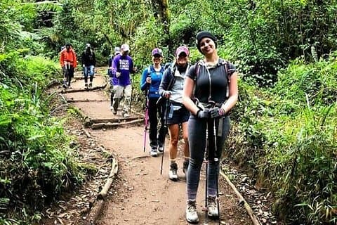 Tageswanderung zum Kilimandscharo