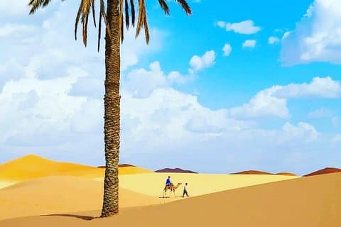 Tours Au départ de Casablanca : 6Jours/5Nuits