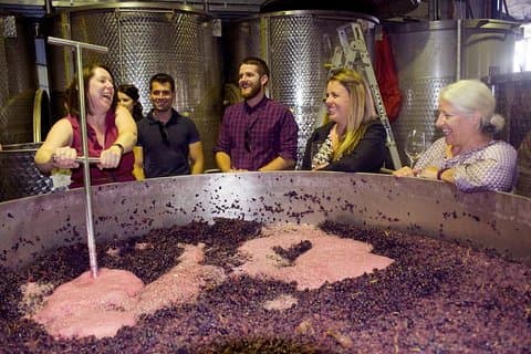 Mornington Peninsula Winery Tour - Pranzo incluso