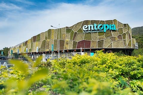Entopia Butterfly Farm And Tropical Spice Garden Tour