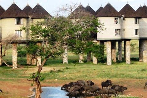 3 Tage 2 Nächte nach Sarova Saltlick und Taita Hills