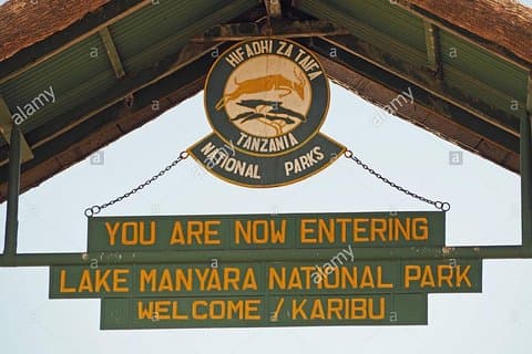 Safari di gruppo di 1 giorno nel lago Manyara