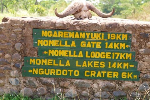 1 Day Private Safari in Arusha National Park.