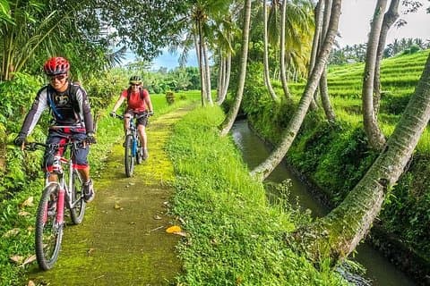 Ciclismo de descenso de Bali y rafting en aguas bravas