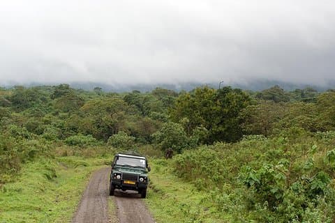 Big Five & Beyond – Join the 7 Days Safari Adventure