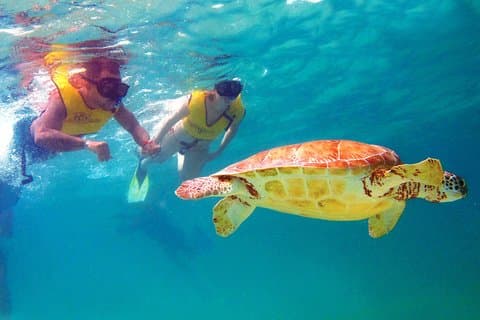 Cancun Best Deal 3x1: plongée en apnée, tyroliennes et rappel