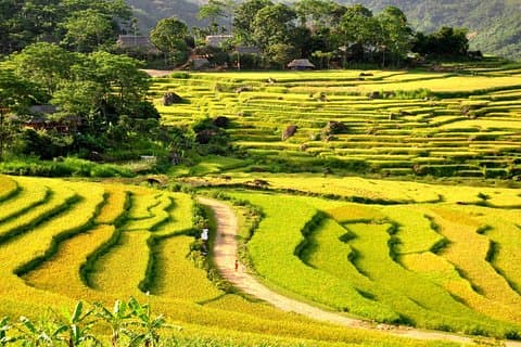 Mai Chau 2 dagen 1 nacht Pu Luong Avontuur