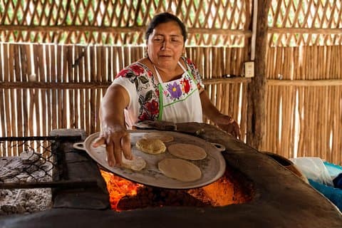 Chacchoben Mayan City and Mayan Experience Combo Tour