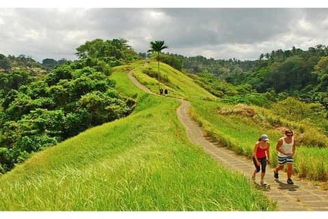 Tour privato: Campuhan Ridge Walk, Ubud Rice Terrace e Ubud Palace