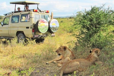 Safari de 6 dias em Northern Circuit