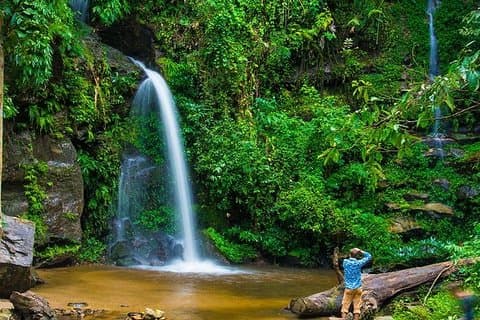Chiang Mai - Trek exclusif à Doi Suthep