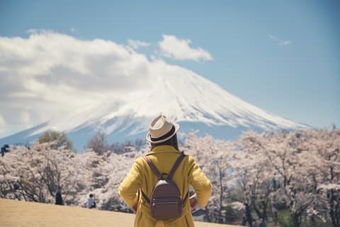 Excursion privée d'une journée au mont Fuji & Hakone avec chauffeur Anglais