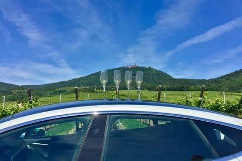 FULL DAY ALSACE PRIVATE TOUR : Tailored by your Friendly Driver