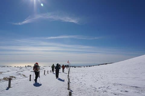 [5 jours à Jeju] Randonnée privée personnalisée (Cours Hallasan et Olle) avec alpiniste