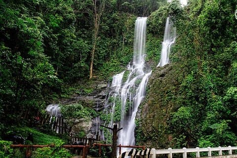 Activités de plongée en apnée à Puerto Galera
