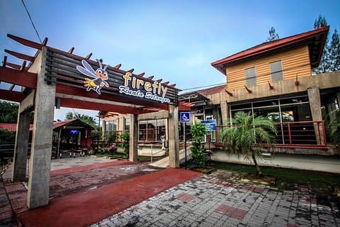 Private Kampung Kuantan Firefly Park Tour from Kuala Lumpur