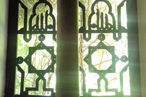 Privat Alcazar + katedral + svamptur