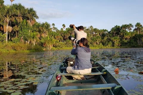Best of Tambopata 2 netter med JunglePro