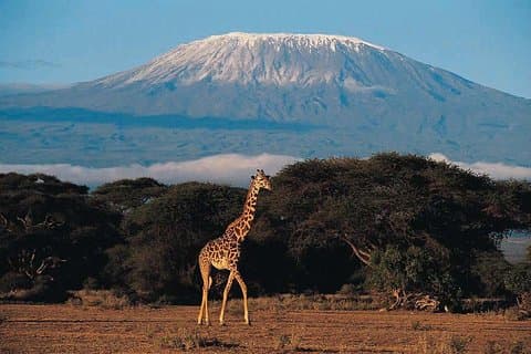 6 Tage Marangu RouteMount Kilimanjaro Trekking