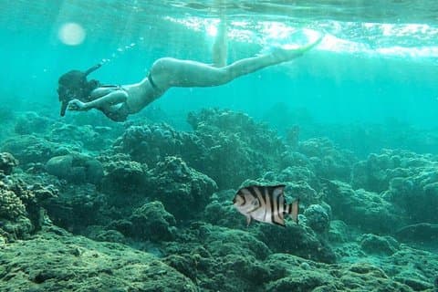 Geweldig Bali snorkelen bij Blue Lagoon All Inclusive