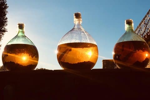 Cassis, Bandol och Le Castellet Vinresa