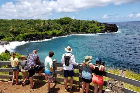 Excursión a Maui: Excursión de un día a Road to Hana desde Lahaina con recogida