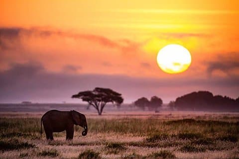 7 Tage Lodge-Safari