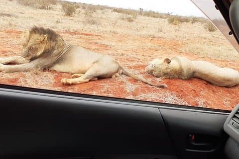 3 Days Tsavo Adventure Tsavo East & West National Parks