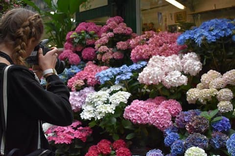 Marché Madness & Flea Markets: Tours Privados de Día Completo o Medio