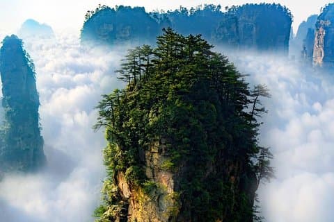 Viagem de um dia para "Pandora" - Parque Nacional de Zhangjiajie (Cenário da Montanha Avatar)