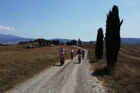 Wine Tour Ebike Experience