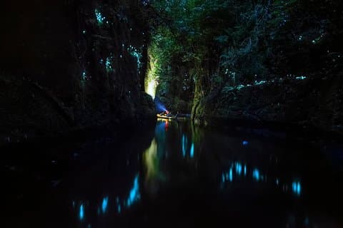 Tauranga: Evening Glowworm Kayak Tour