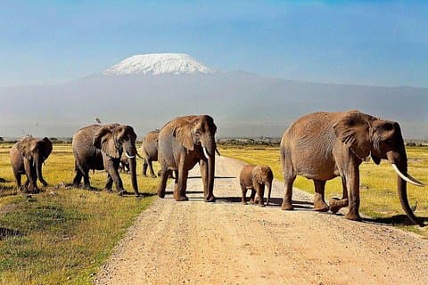 3 Days Amboseli National Park Safari