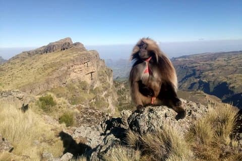 Simien Mountains Trekking Adventure