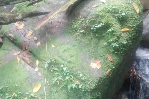 Verloren juweel, Tour 1 dag Sierra Nevada de Santa Marta. alleen relikwieën!