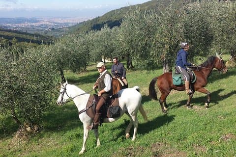 Paardrijden, olijfolie en lokale gerechten proeven op een Toscaanse boerderij