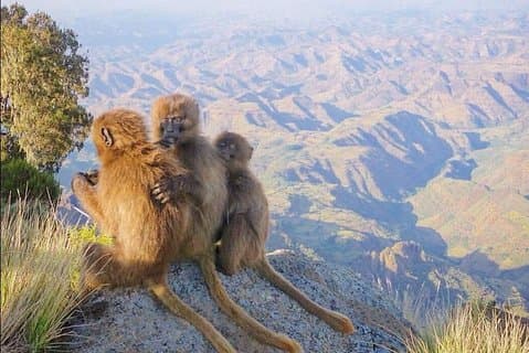 7 dias na Northen Ethiopia Tour