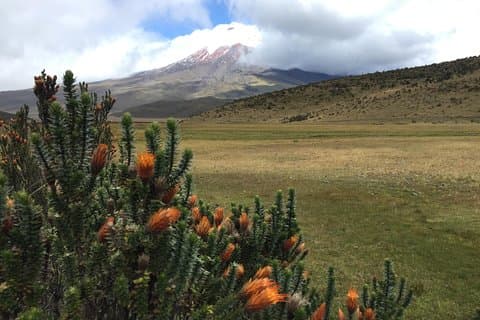 Premium Cotopaxi-dagtour