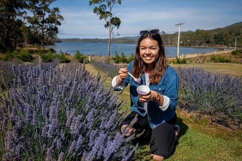 Port Arthur, Lavender, Richmond & Tasman Peninsula