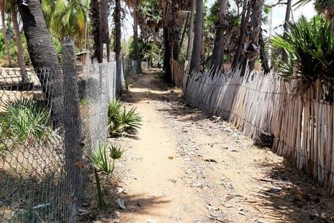 Village Tour