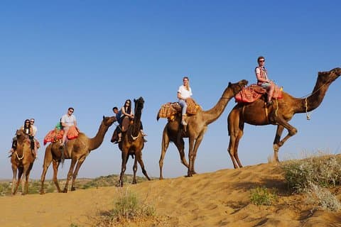 Camel Safari Halve dag tour in Jodhpur
