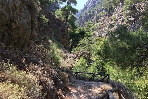 Randonnée privée dans les gorges d'Agia Irini (prix par groupe de 6)
