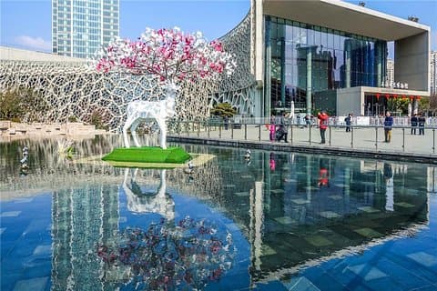 Excursão Privada Privada aos Muçulmanos: Museu de História Natural de Xangai, Tank Shanghai teamLab